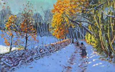 Snowballing, Allestree Park, Derby by Andrew Macara